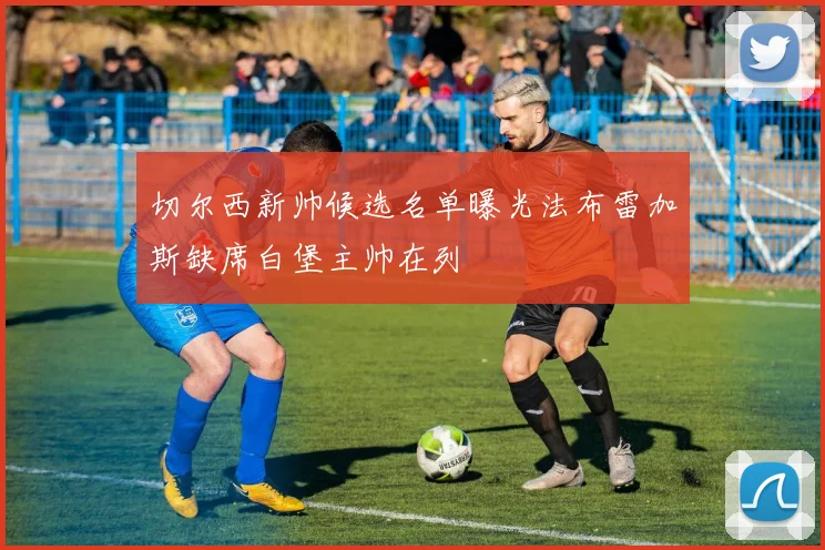 切尔西新帅候选名单曝光法布雷加斯缺席白堡主帅在列