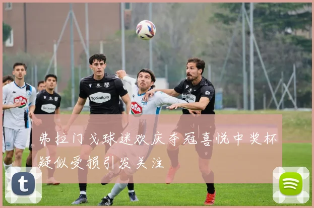弗拉门戈球迷欢庆夺冠喜悦中奖杯疑似受损引发关注