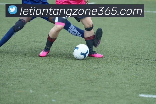 乐天堂平台服务体系